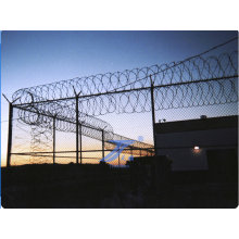 Расширение металла тюрьме забор (TS-EPF01)